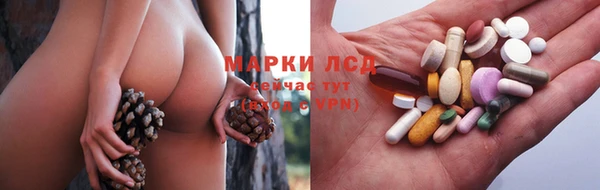 стафф Аркадак
