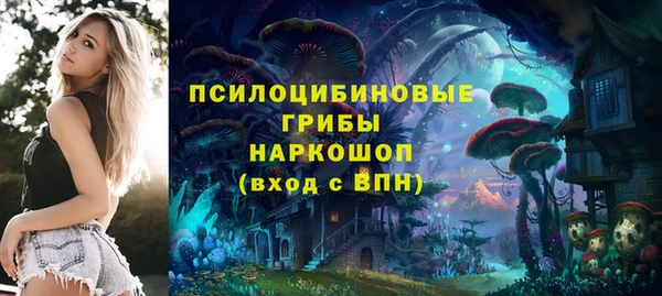 спиды Армянск