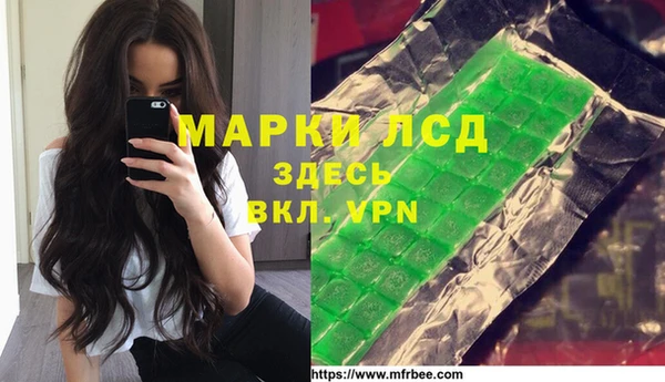 стафф Аркадак