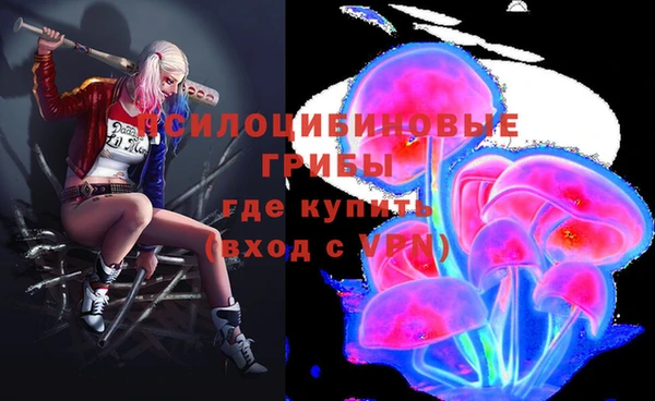 стафф Аркадак